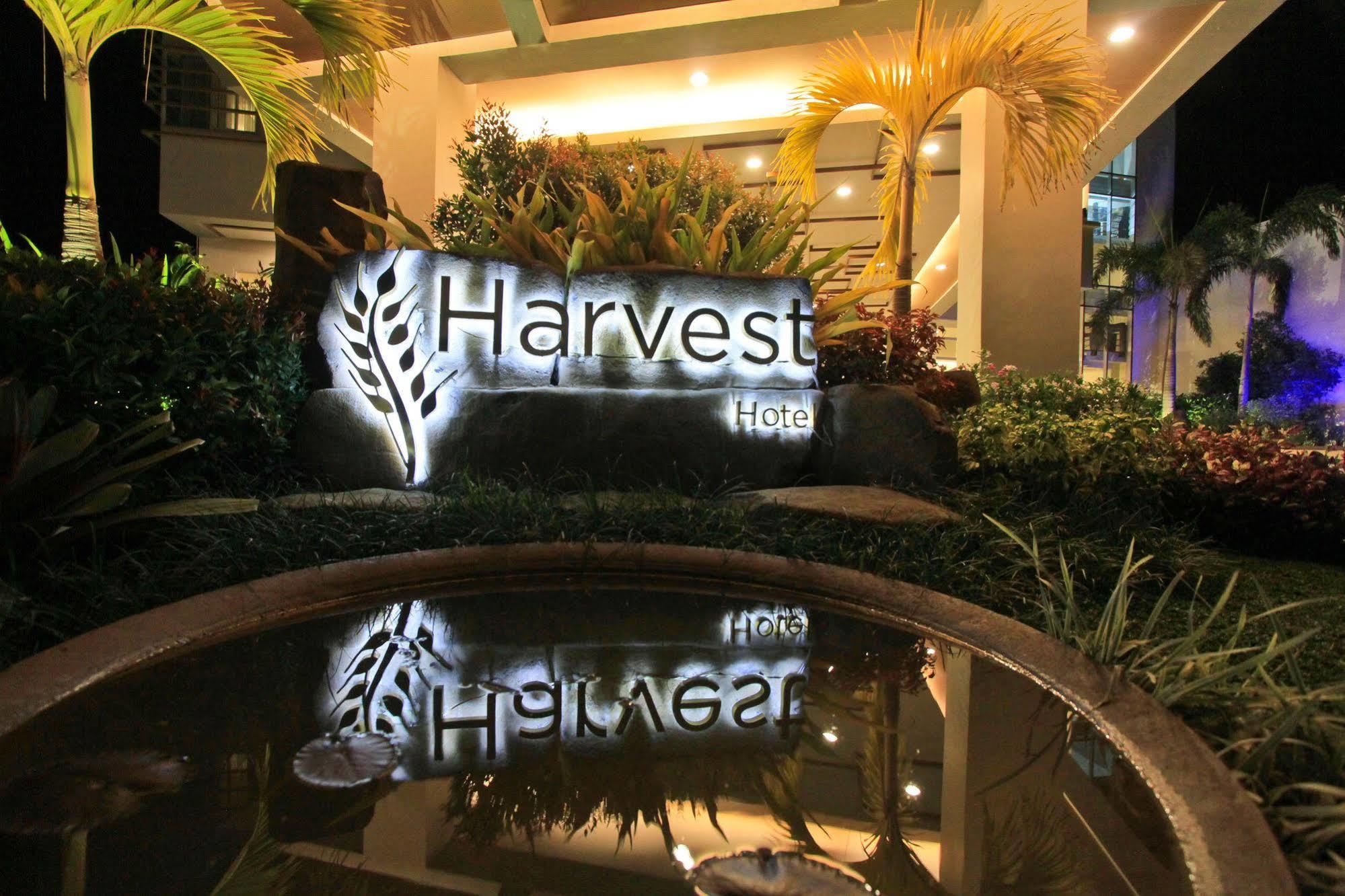 The Harvest Managed By Hii Hotel Cabanatuan City
